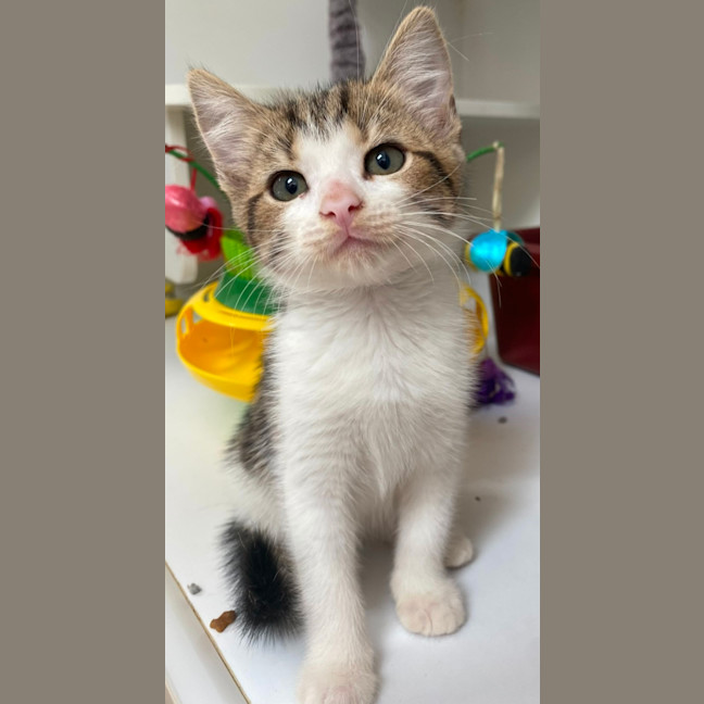 Photo of Berlin (9955)