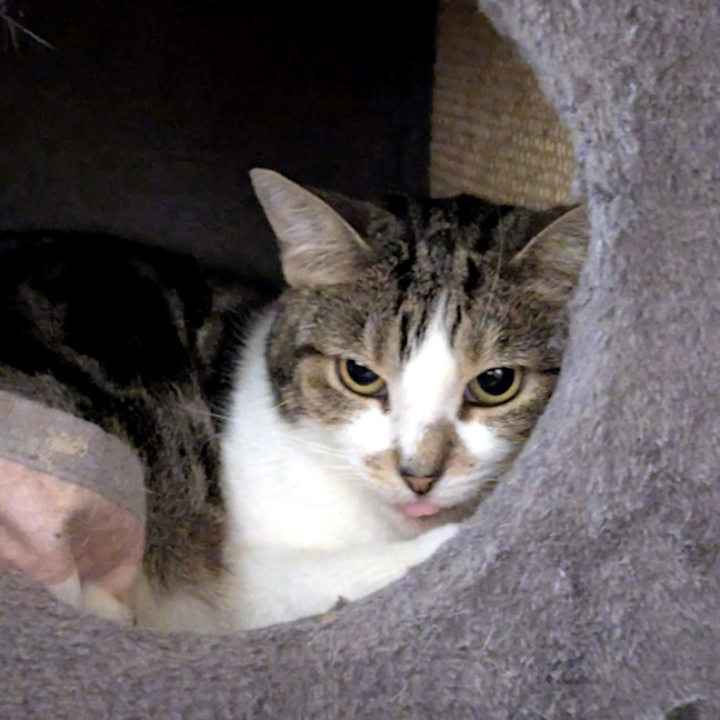 Photo of Frankie Sta013010