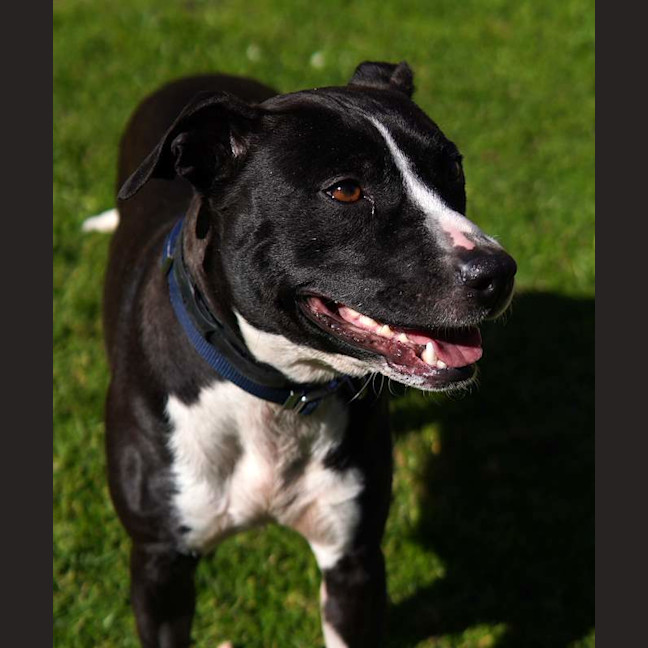 Photo of Lexi
