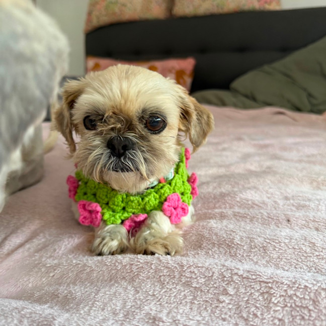 Photo of Ella And Blaze 