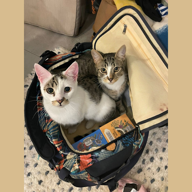 Photo of Jurel & Salmon