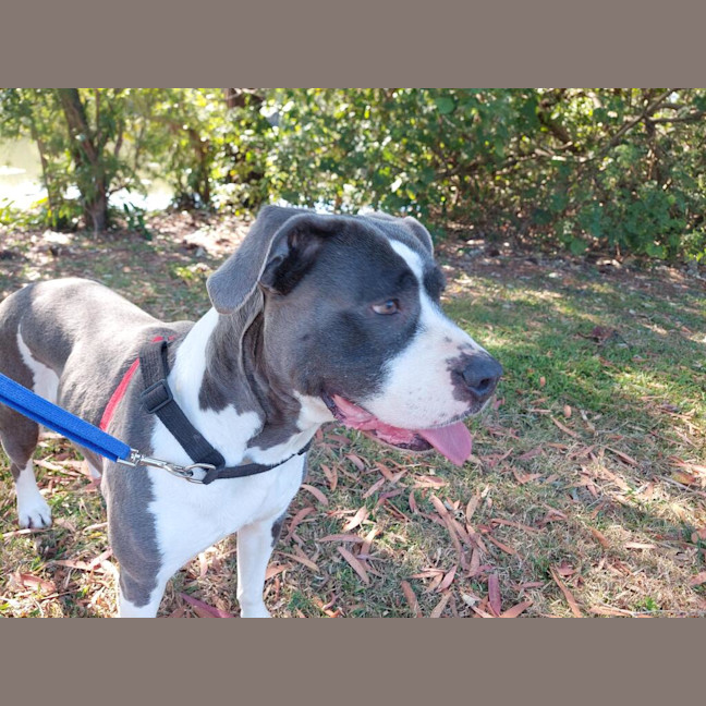 Photo of Missy