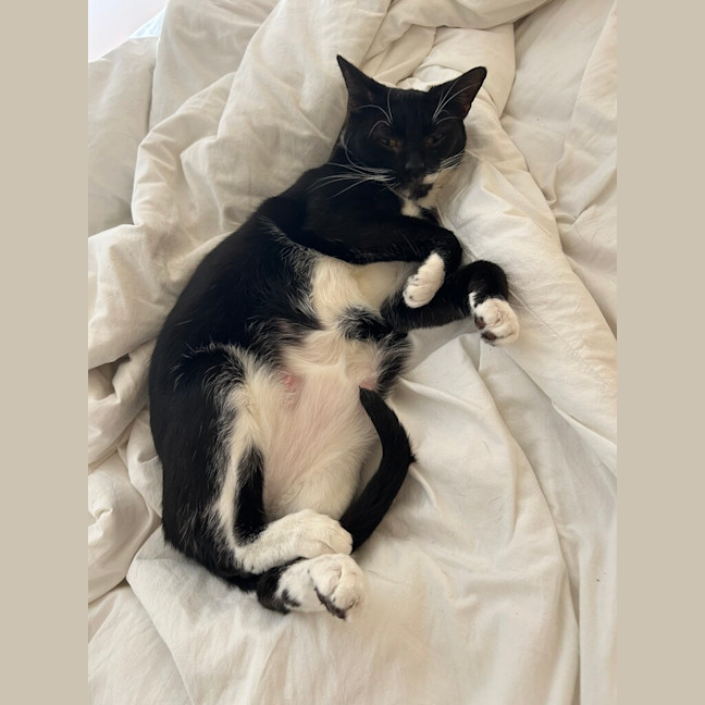 Photo of Demi