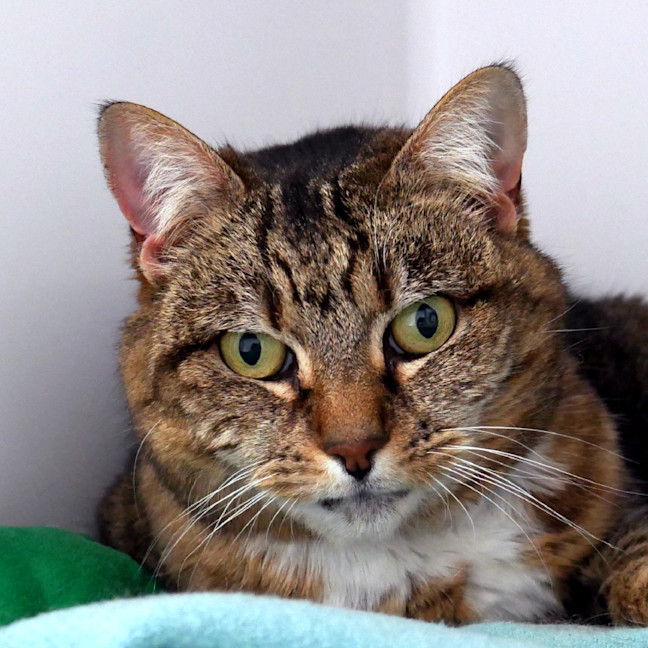 Photo of Willow Sua012831