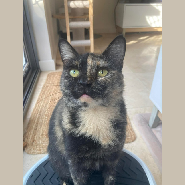 Photo of Chirp Side Park Shopping Centre