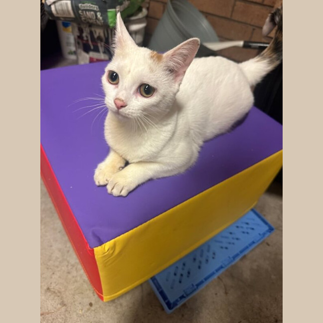 Photo of Mabel