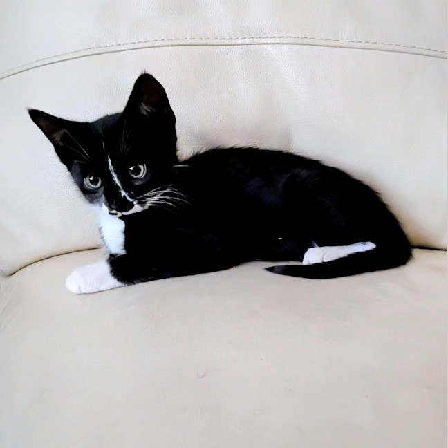 Photo of Samantha
