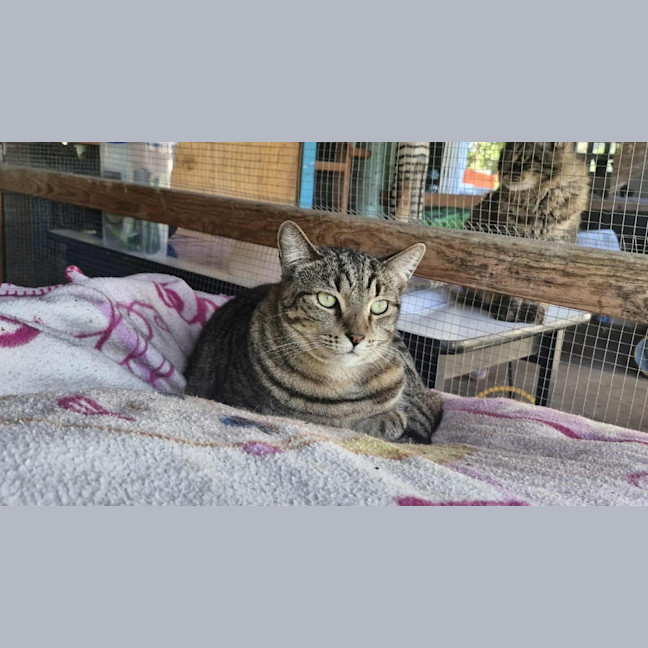 Photo of Storm