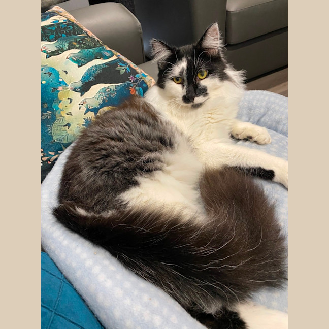 Photo of Handsome Huey