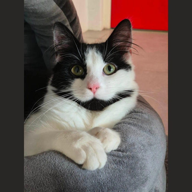 Photo of Lola