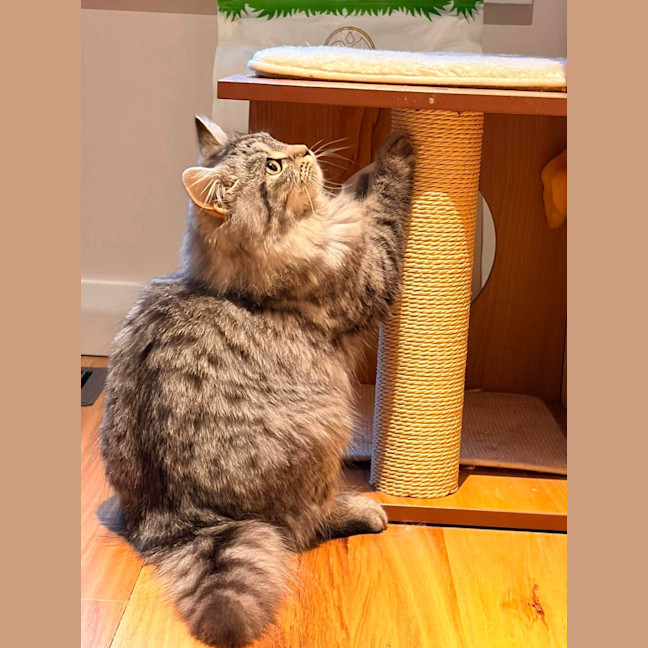 Photo of Charlie