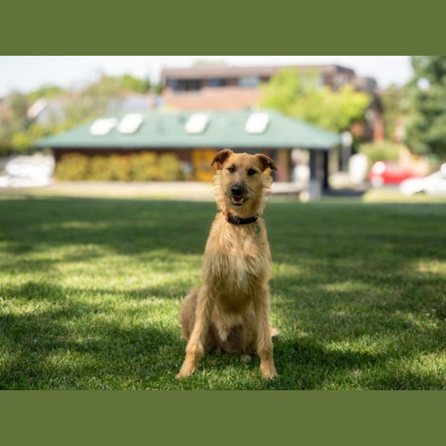 Photo of Rocky Gainsborough