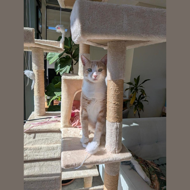 Photo of Mr Bubbles