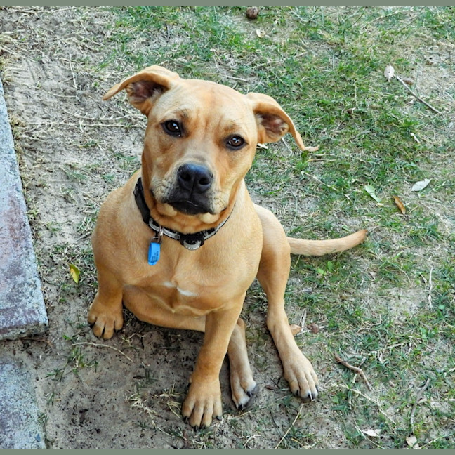 Photo of Gem