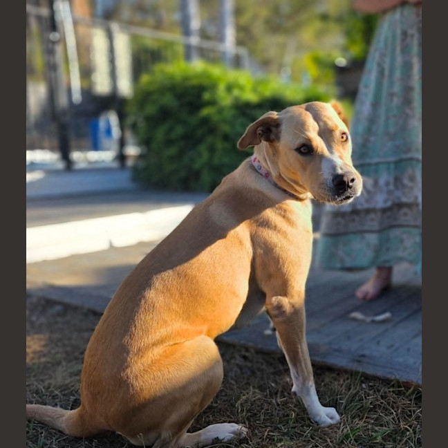 Photo of Cali