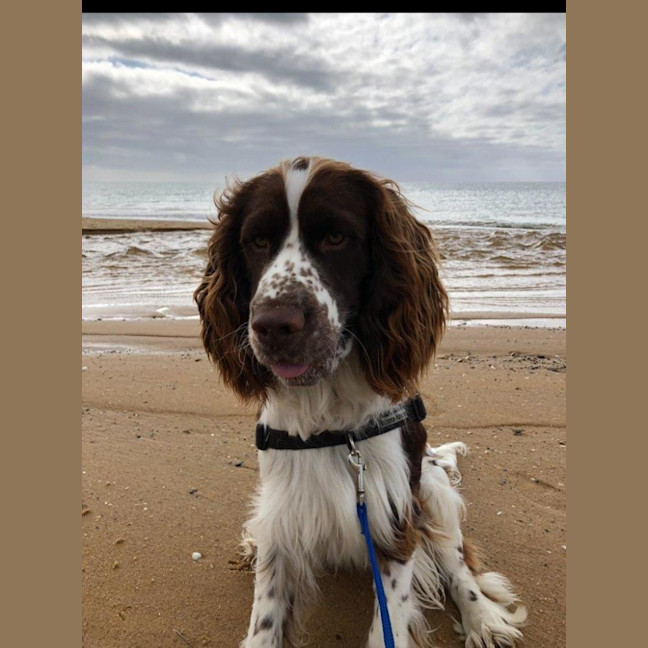 Photo of Ralph Valenti