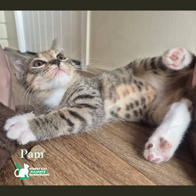 Photo of Pam Beesly