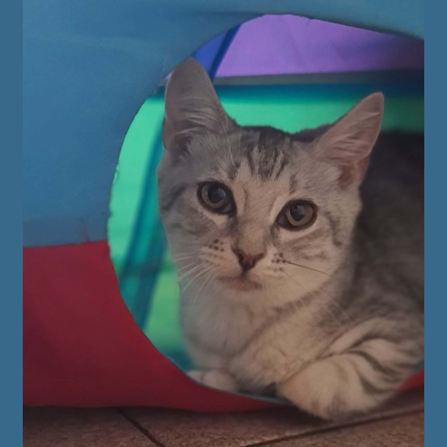 Photo of Osha & Rosemary