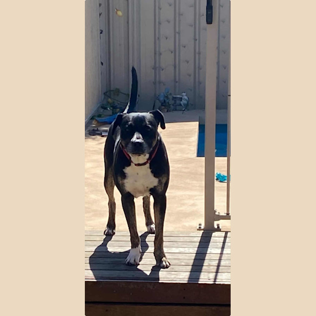 Photo of Big Bear