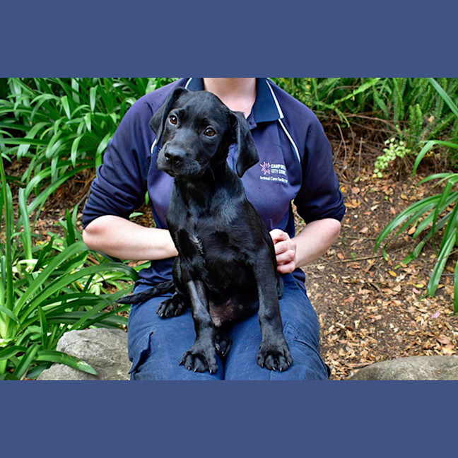 Photo of Judge Nugget