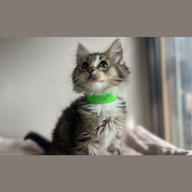 Photo of Fiyero