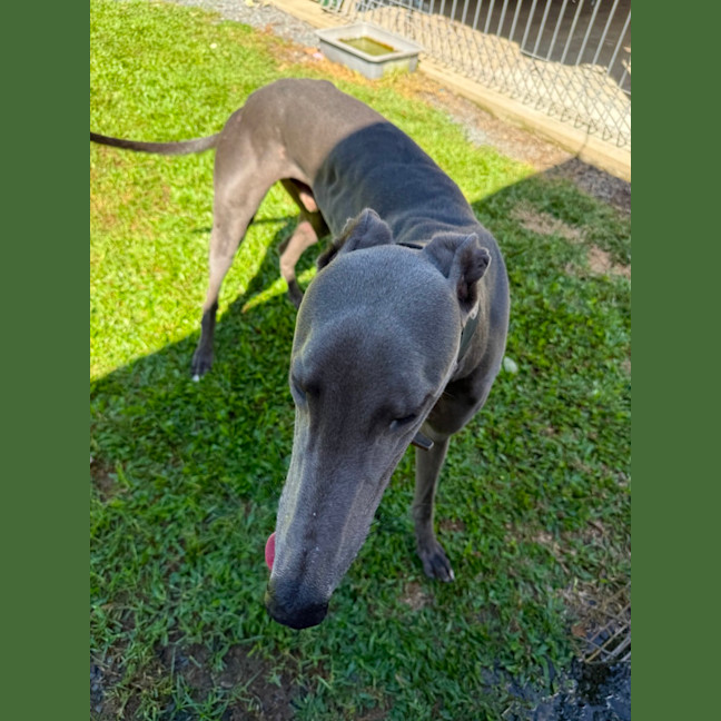 Photo of Wally