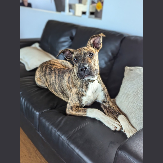 Photo of Mimi