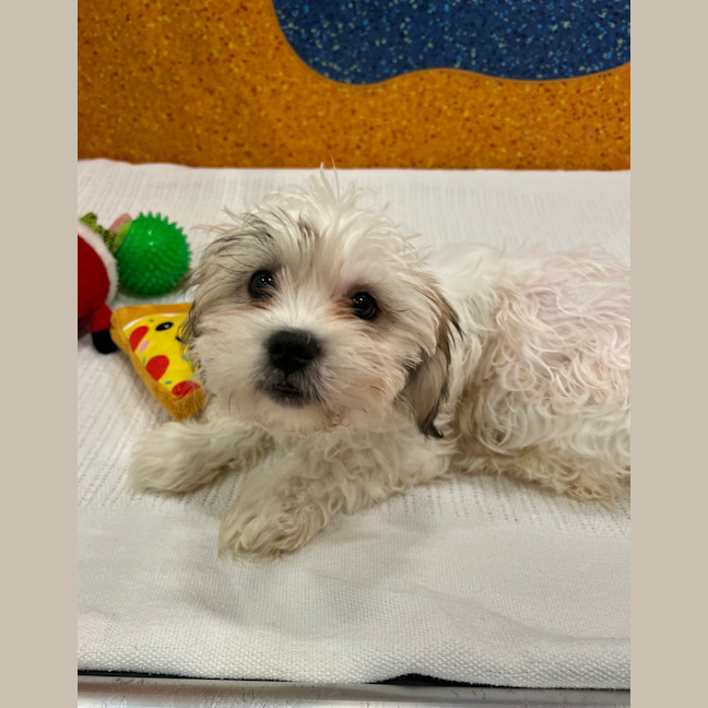 Photo of Winnie