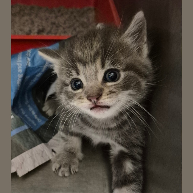 Photo of Ghostbuster