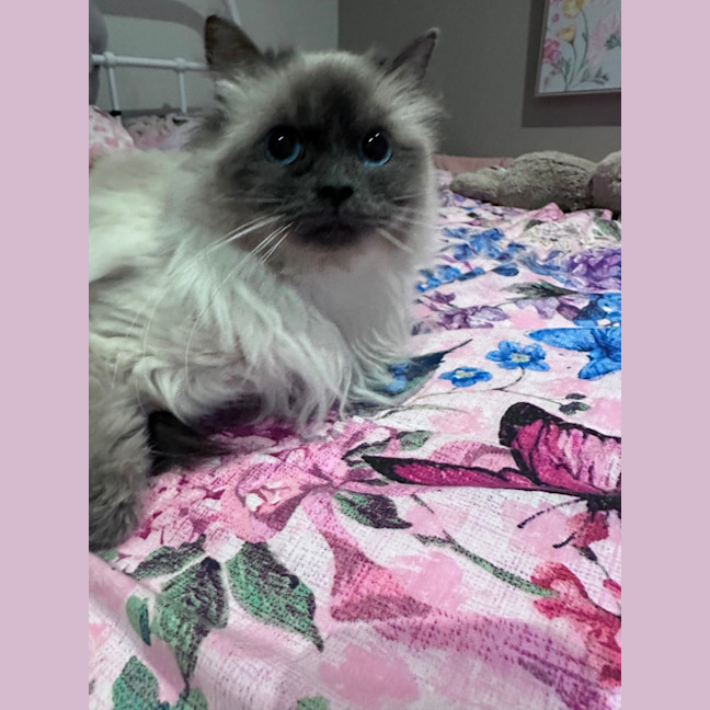 Photo of Nixie