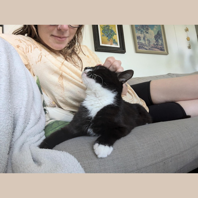 Photo of Stevie Mitts