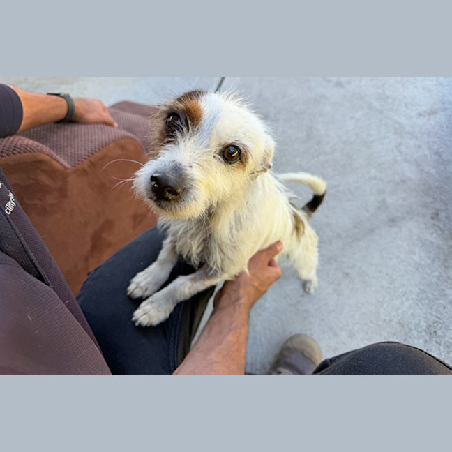 Photo of Pepito