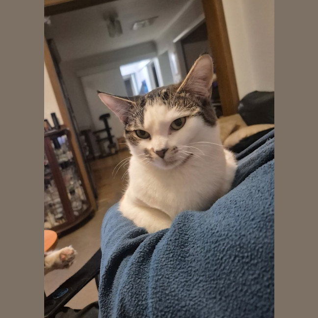 Photo of Honey