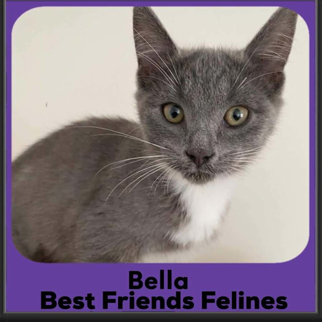 Photo of Bella 
