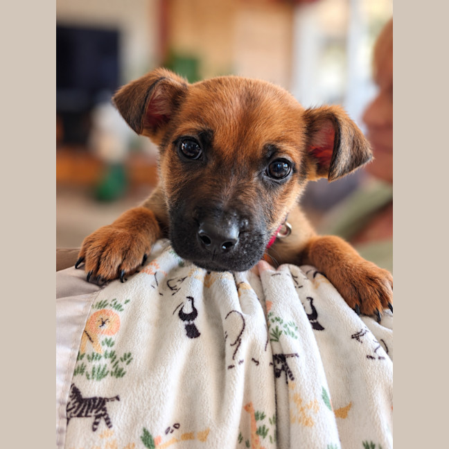 Photo of Trevor