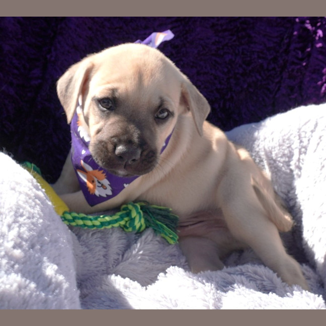 Photo of Vinnie