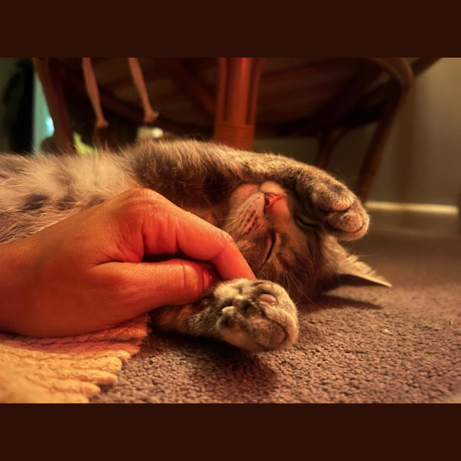 Photo of Valyria Emmie