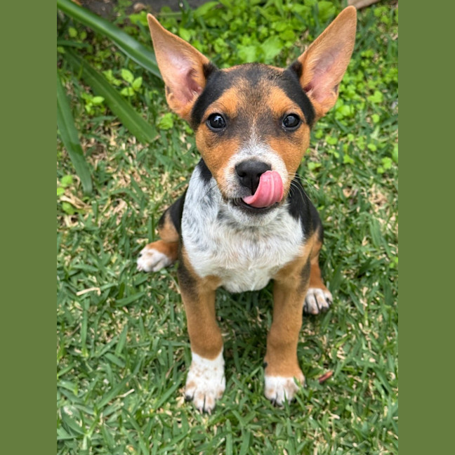 Photo of Asti