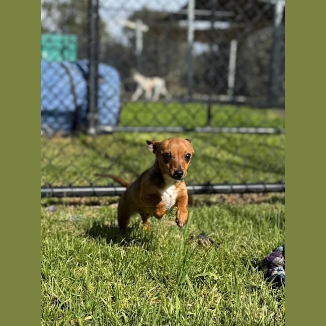 Photo of Scoop