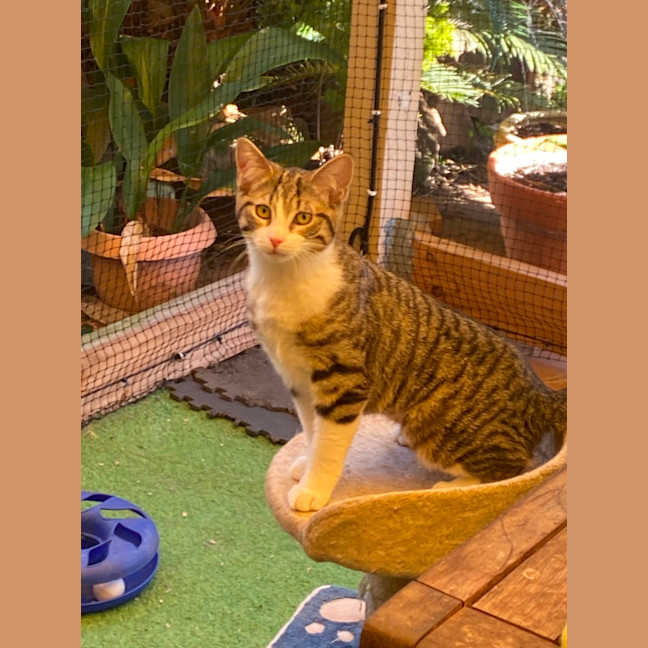 Photo of Tammy