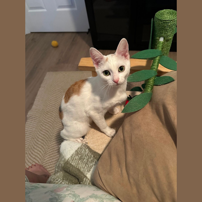 Photo of Gabby 