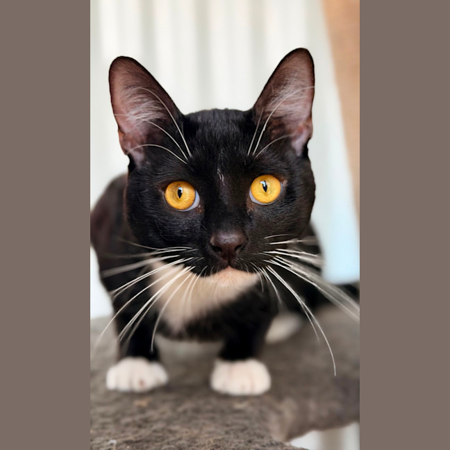 Photo of Tiggy