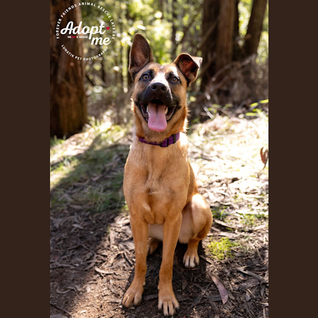 Photo of Lilly