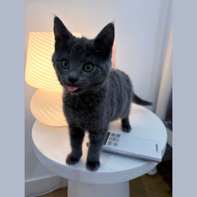 Photo of Ella Bleu