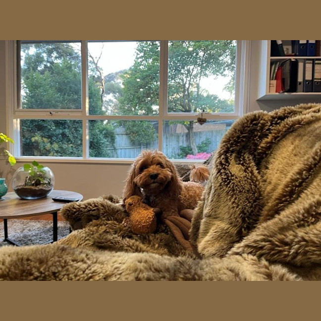 Photo of Winston Quinell