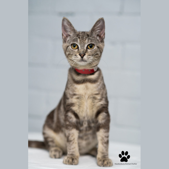 Photo of Wendy