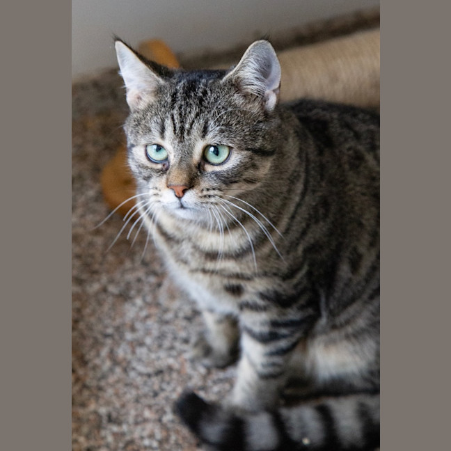 Photo of Mr Penelope