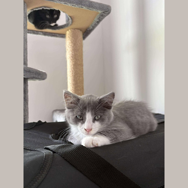 Photo of Hugo