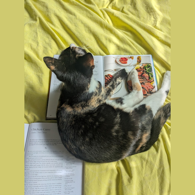 Photo of Dotti
