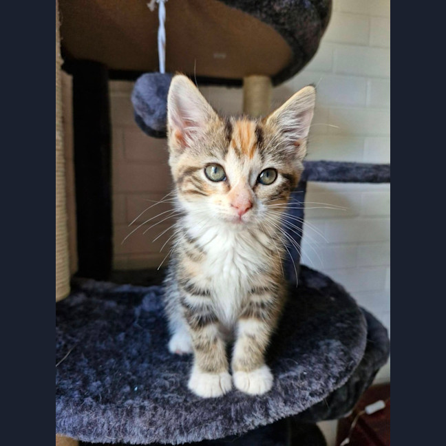 Photo of Wilma